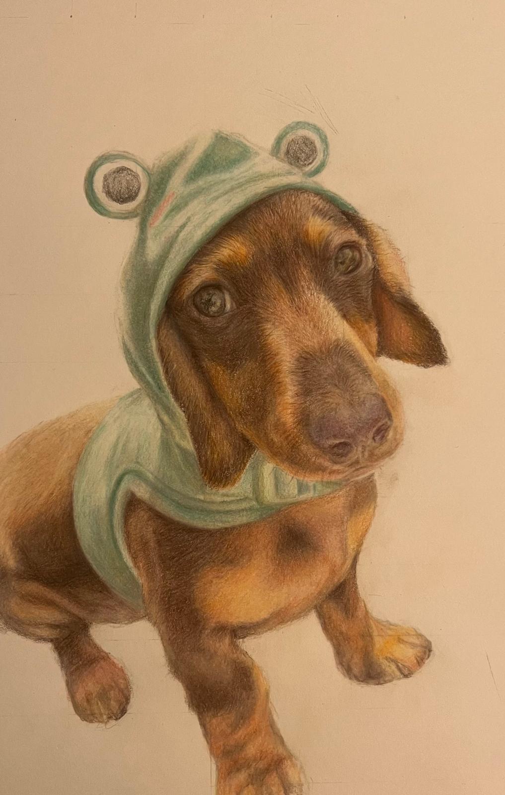 Schumi, pencil portrait by Anna-Sophia